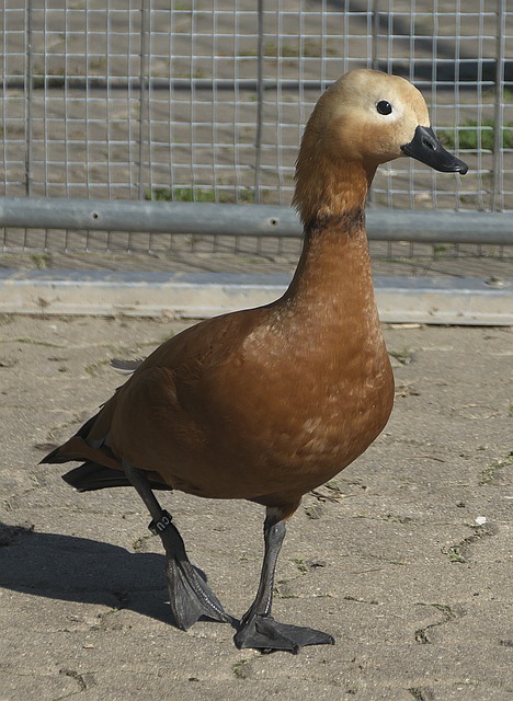 松了许多 松了许多