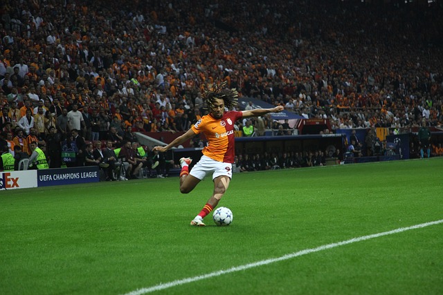 間完成路線 間完成路線