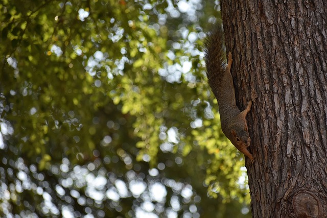 只有在这些 只有在这些
