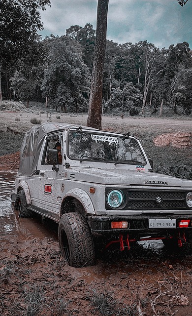 社会面临的 社会面临的