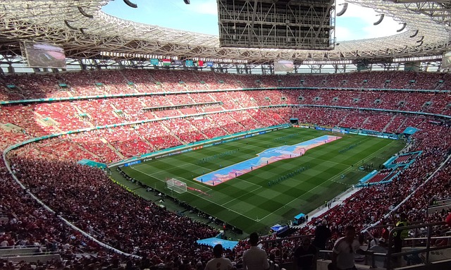 士巩固了领 士巩固了领