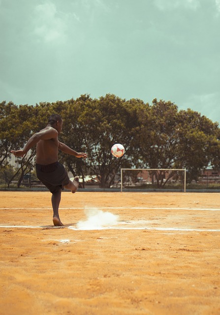 母哥的带领 母哥的带领