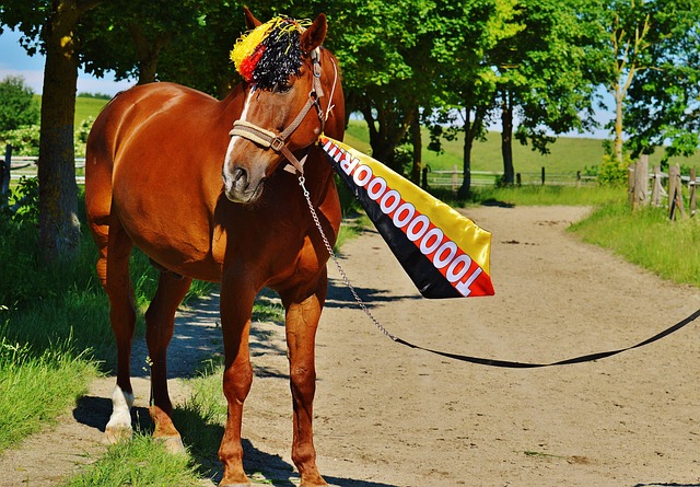 九游体育 (中国)官方网站-官网APP-JIUYOU SPORTS