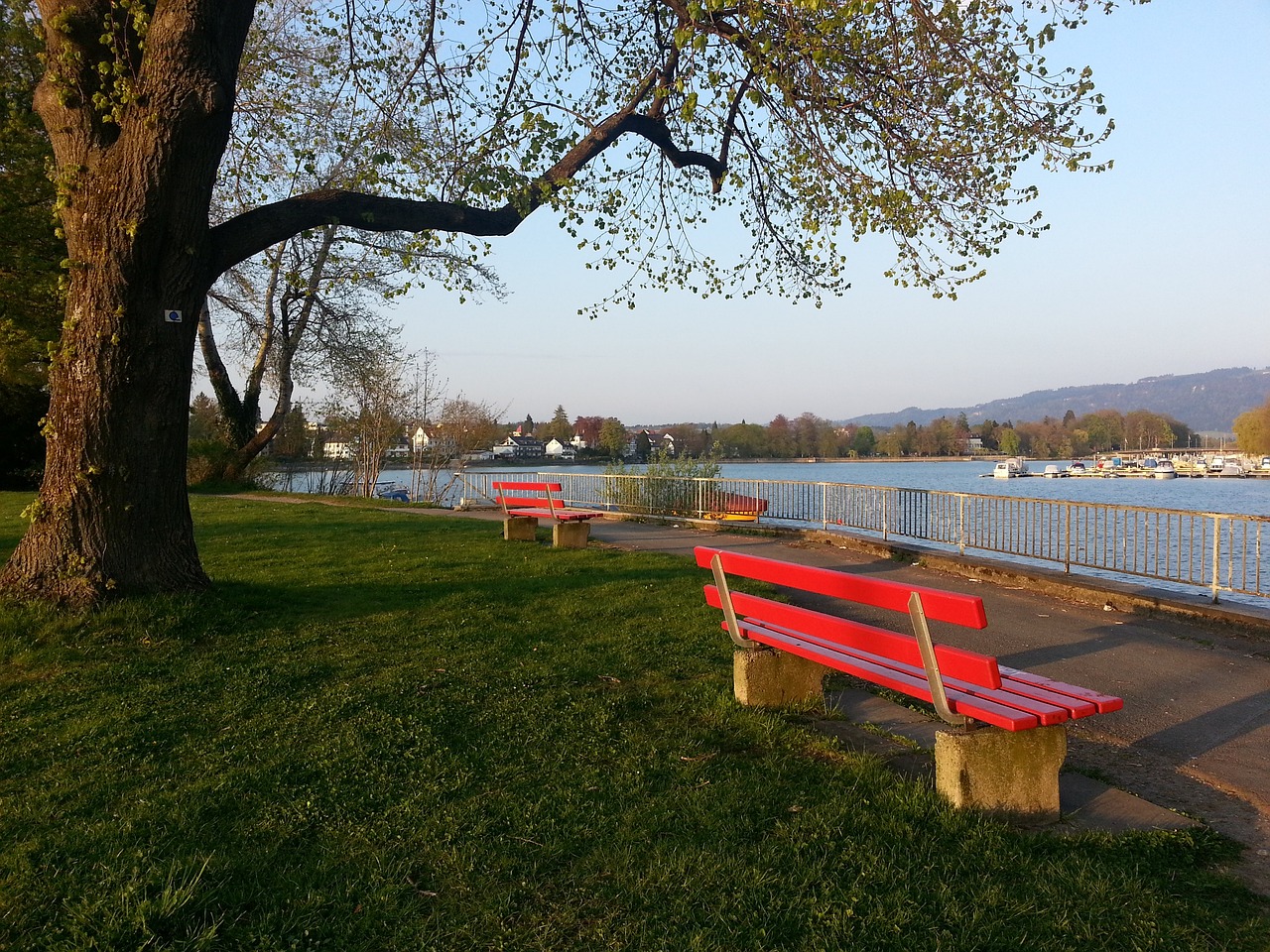 随着国际球 随着国际球