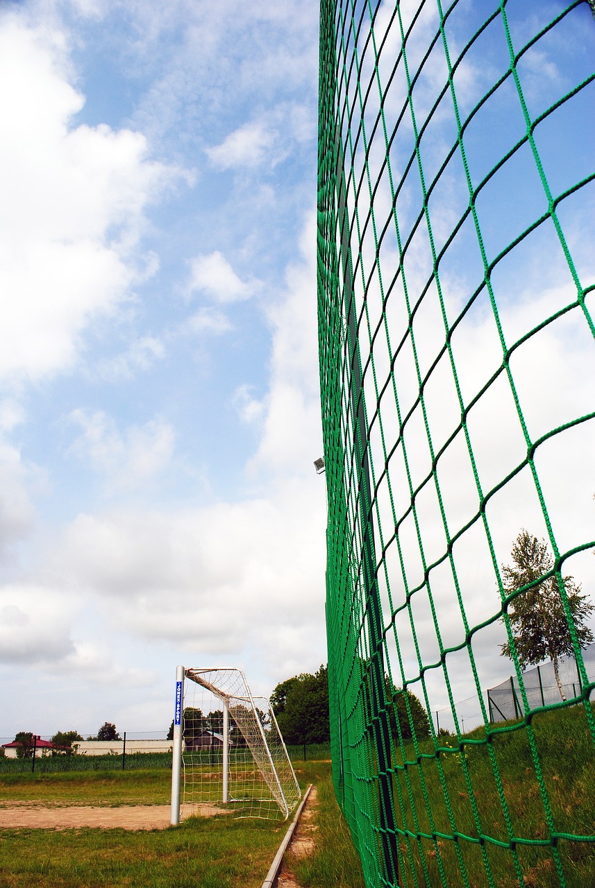 代价是一年 代价是一年