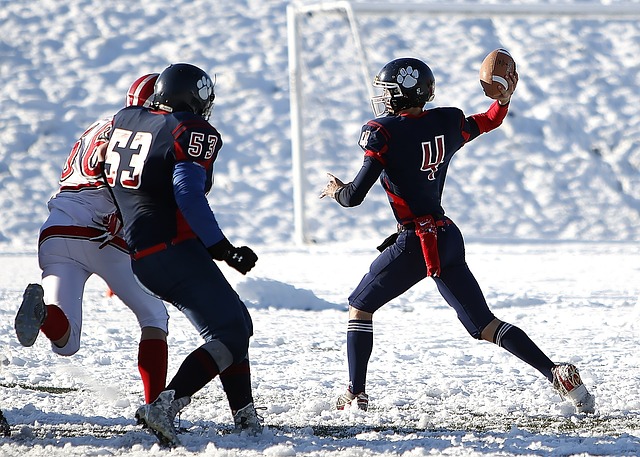 也表明了这 也表明了这