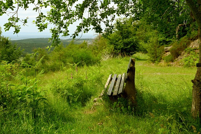 性和突破性 性和突破性