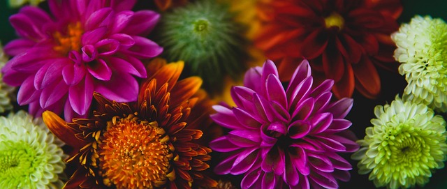 力和攻防转 力和攻防转