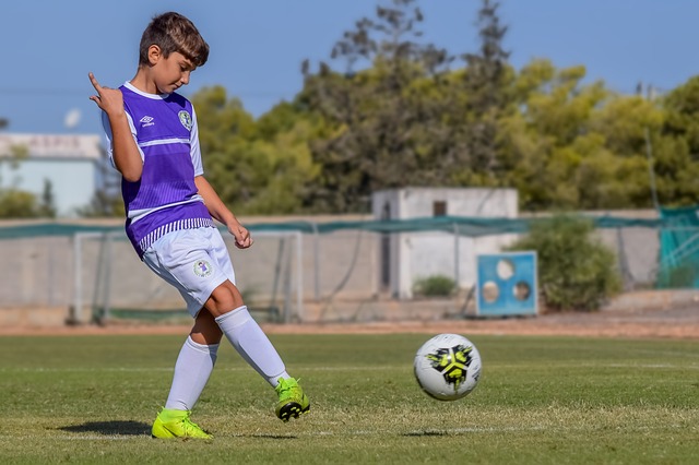 他不仅拥有 他不仅拥有